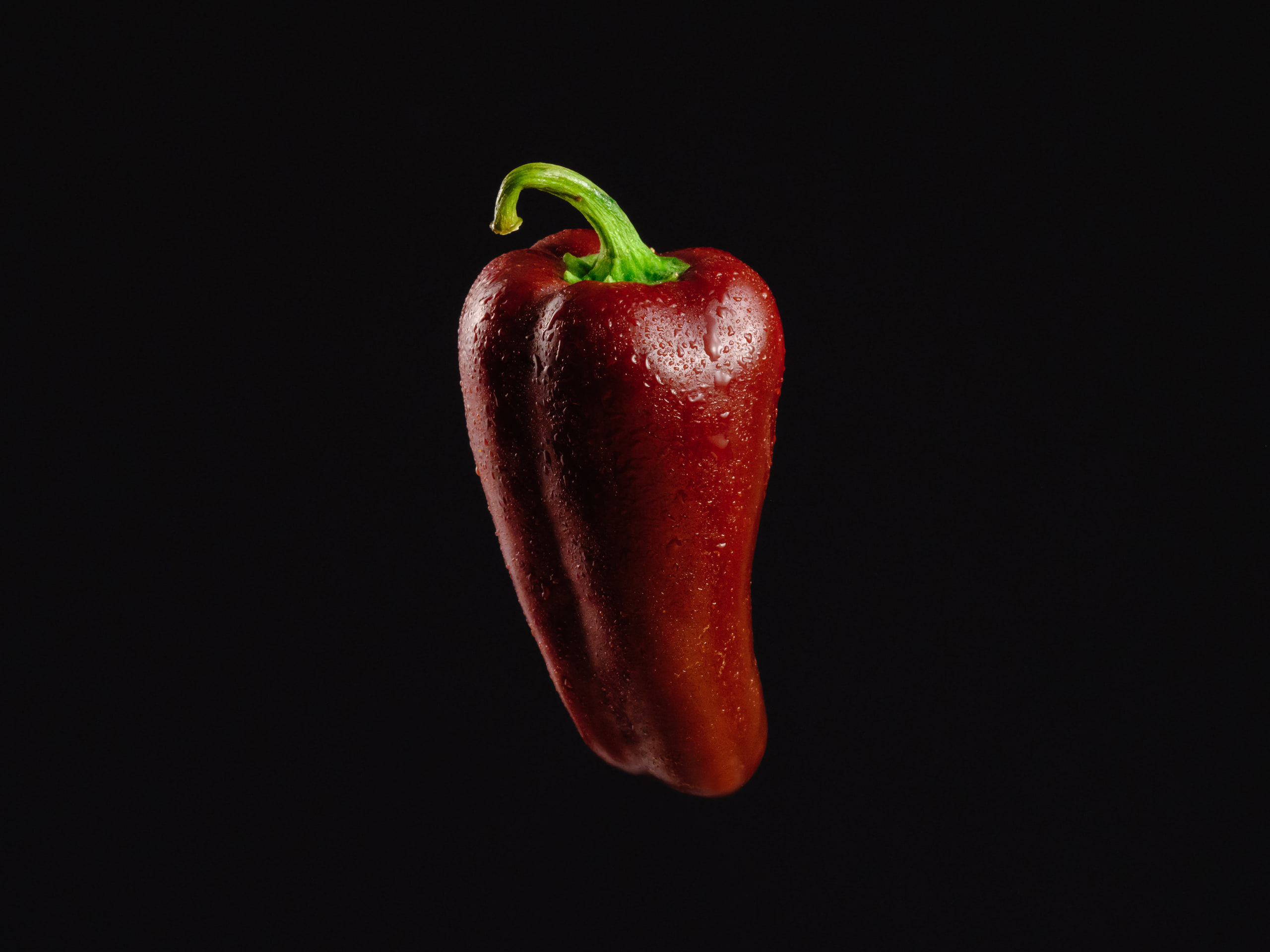 Red pepper on black, saturated against nothing.