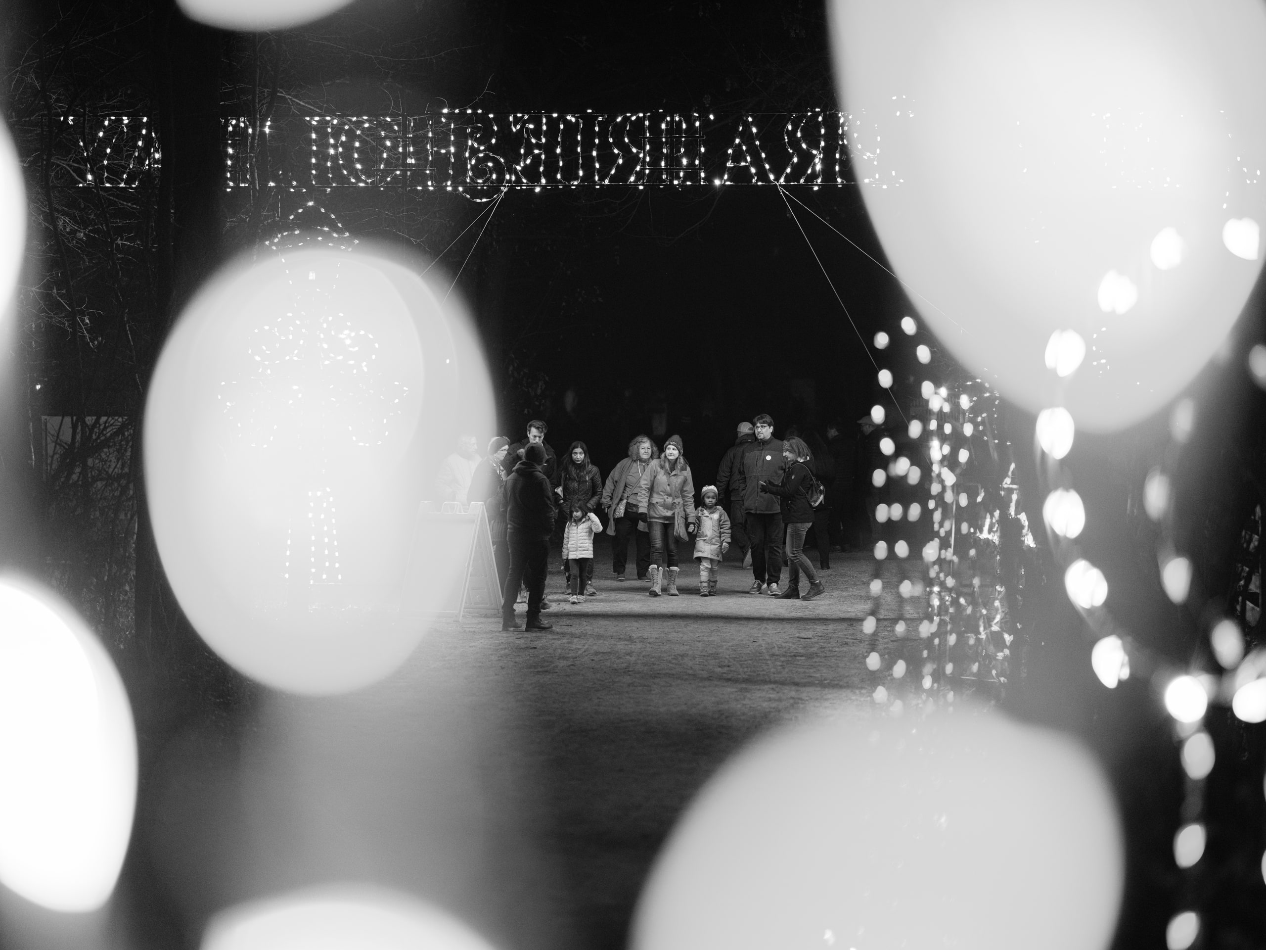B&w bokeh spheres, pure abstraction with weight.